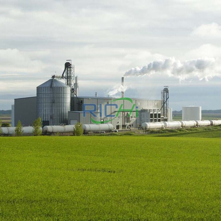 Common Issues to Address During the Installation of an Animal Feed Production Machine