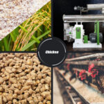 Poultry Feed Pellet Machine