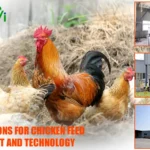 Poultry feed plant project case, chicken feed manufacturing factory equipment solution