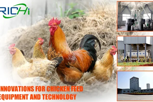 Poultry feed plant project case, chicken feed manufacturing factory equipment solution
