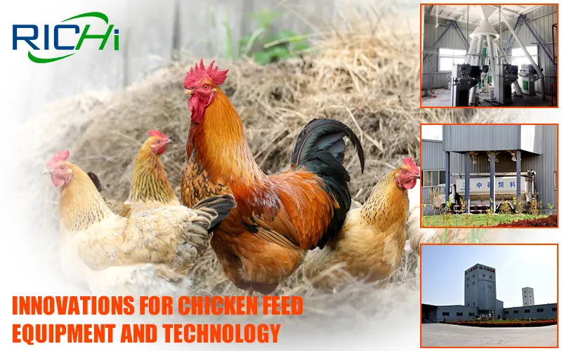 Poultry feed plant project case, chicken feed manufacturing factory equipment solution